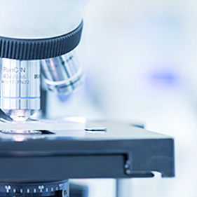 Клинические испытания косметической серии "Лапочка"