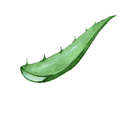 Экстракт алоэ